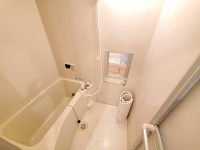 写真はイメージです