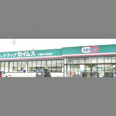 ドラッグセイムス 大網みずほ台店
