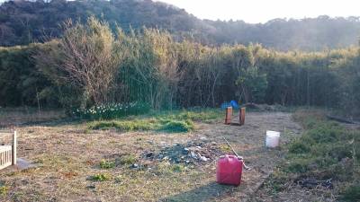 南側の畑です。春夏秋冬色々な野菜・果物が栽培できます。