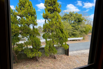 木漏れ日と水辺の景色が、毎日の日常に。