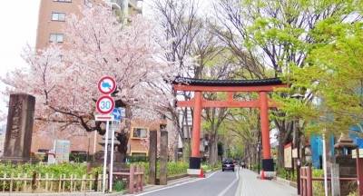 こころ安らぐ大宮氷川参道