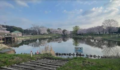 西城沼公園まで800m