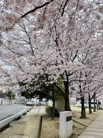 近くの公園
花咲公園