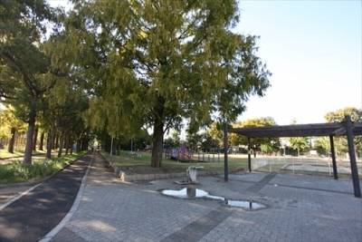 裏の公園