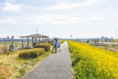 江戸川沿いの自然豊かな環境もあります。ペットも喜ぶ環境です