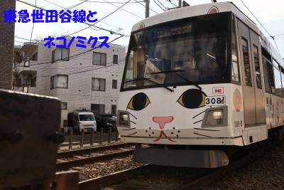 徒歩16分の上町駅周辺はおしゃれなお居酒屋やバーがたくさん