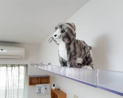 部屋を囲む形でキャットウォーク完備♪肉球が下から見れるかも？