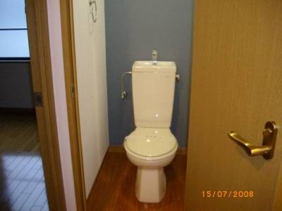 パステージ大正５０３号室　トイレ廻り