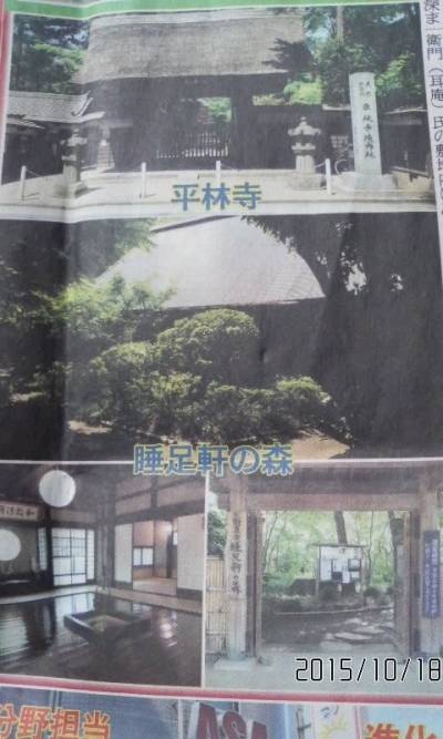睡足軒の森　落葉樹境内林