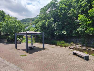 山鼻側緑地　お散歩に