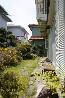 日本庭園のようなお庭です。