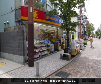 最寄り駅、武蔵小杉駅