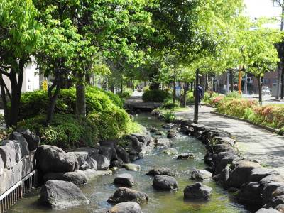 一之江境川親水公園がすぐ近く。二之江さくら公園も近くです。