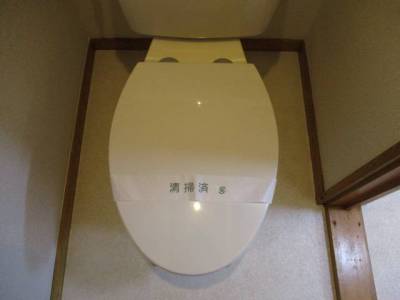 写真はイメージです
