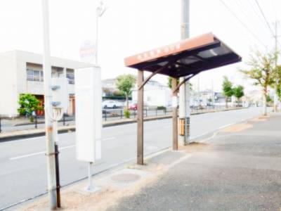 近隣に便利なバス停