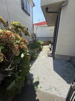 庭