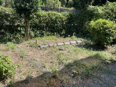 庭が広くガーデニングができます