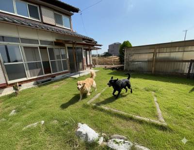 わんこが走り回れる広いお庭。BBQ,テントを張っても◎