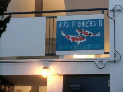 夕方のエントランスで、マリンランプのひかりです。