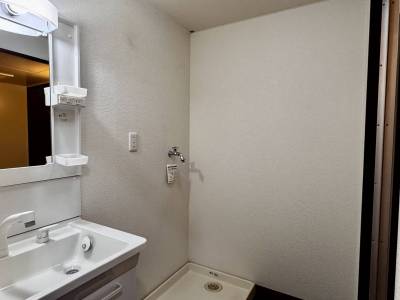 シャンプードレッサーと室内洗濯機置き場です。