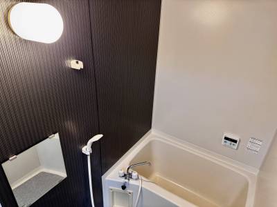 大きめの浴槽です。サーモ付き混合栓への交換予定。