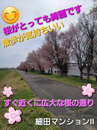 近くで散歩や花見、勝毎花火大会がドアップでみれます。