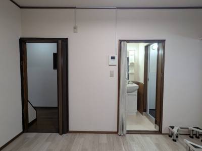 洗面台はシャワータイプです