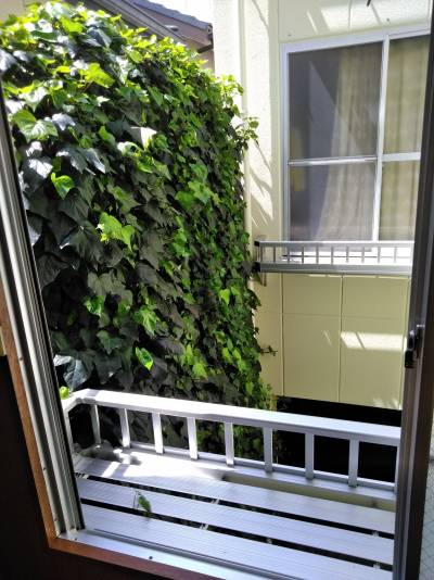 室内から中庭を見る
