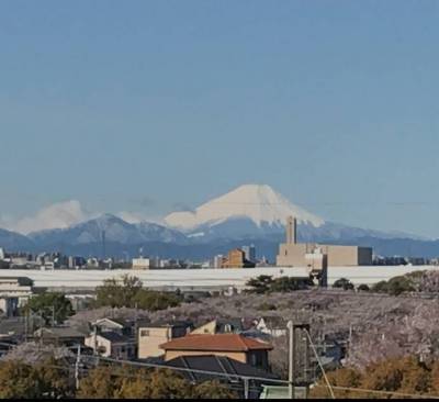 冬の朝など、中浦和駅から富士山が見えます。