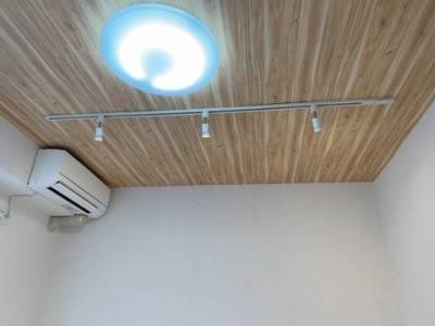 ダクトレール式のスポット照明付き。