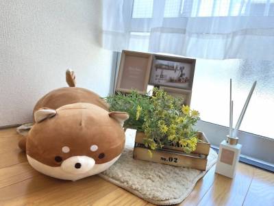 照明や装飾品は特典としてプレゼント♪