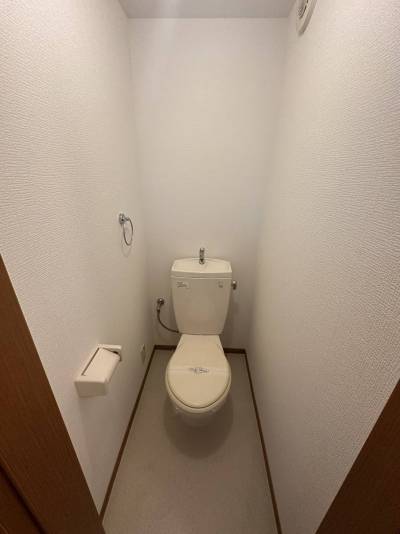 清潔なトイレです。