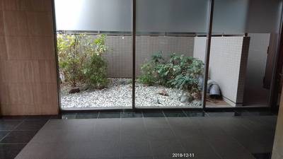 とてもセンスのいい坪庭が管理の良さを雄弁に語ります。