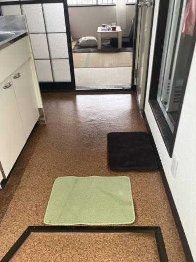 玄関入ってすぐの眺めです