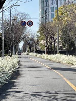 大阪公立大学 杉本キャンパス!