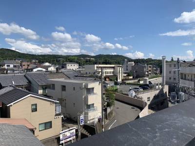 稲荷山の風を感じる。春先は気持ち良いんですよね。