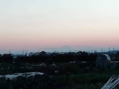 富士山も見えます
