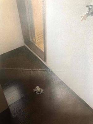 室内洗濯機スペース、プライバシー良し。