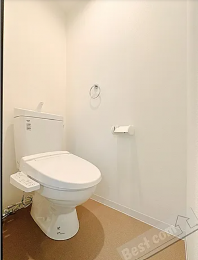 とても綺麗です