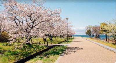 長浜城・豊公園も近いです。