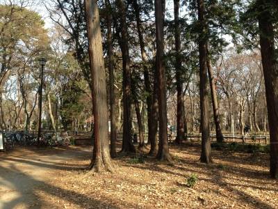 家光公ゆかりの御殿山まで1分