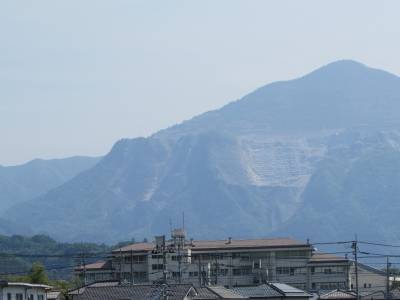 武甲山が一望できます
