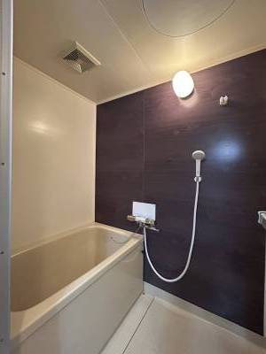 浴室シャワー水栓もあたらしい
アクセントパネルあり