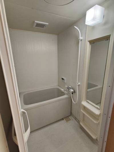 浴室　清潔感があります