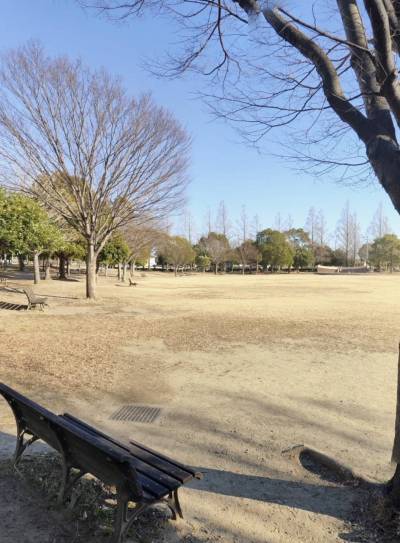 美薗中央公園のすぐ隣です。