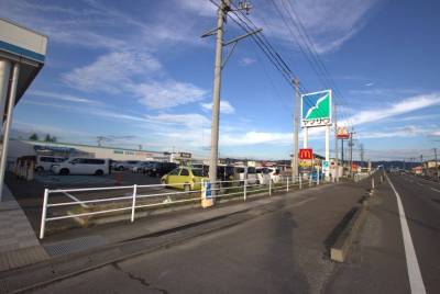 スーパーヤマザワ、ドラックストア、セリア徒歩圏