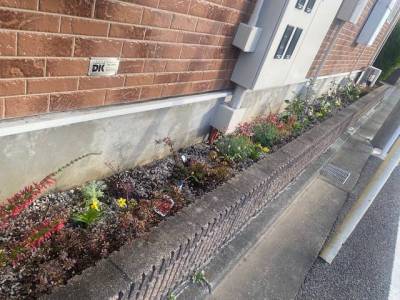 花壇です