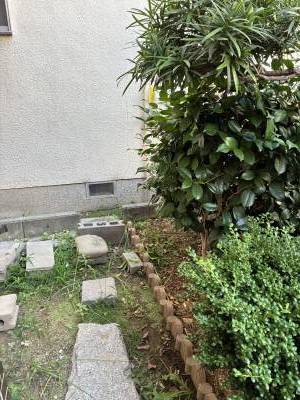 玄関横　植栽