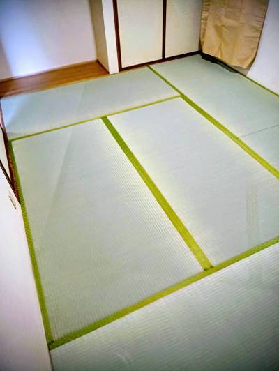 空気浄化作用あるイ草の畳=NEW♪