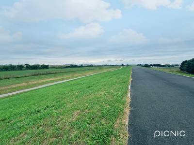 朝からランナーや自転車が気持ちよさそうに走っています
